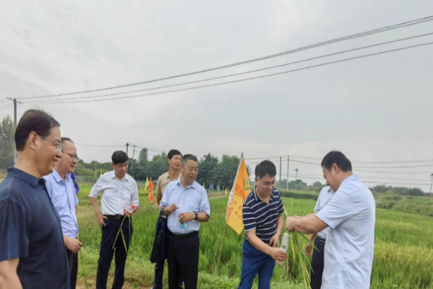 圖片3.png 圖片3.png