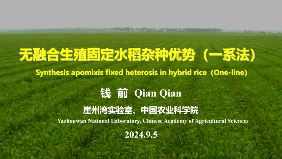 圖片1.png 圖片1.png